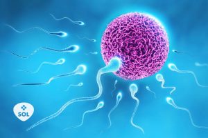 Estimulação ovariana nos tratamentos de reprodução assistida