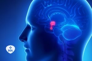 Deficiência do hormônio GH em Adultos