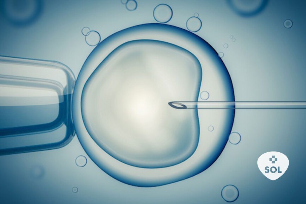 Rekovelle: saiba mais sobre esse medicamento para fertilidade