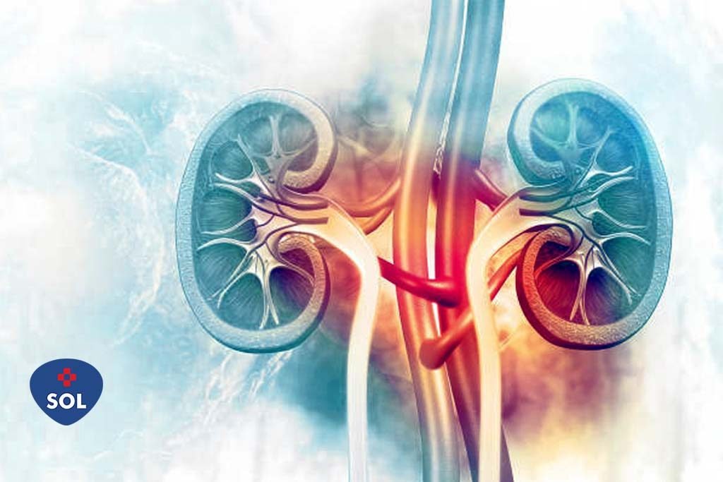 Anvisa aprova Benlysta® para tratamento da Nefrite Lúpica