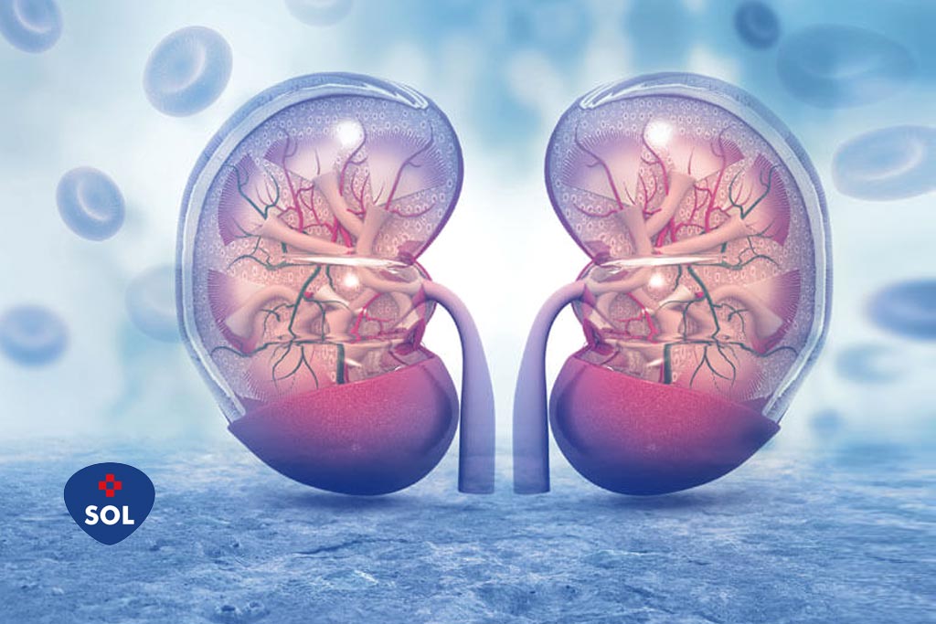 Alfaepoetina no tratamento da anemia na insuficiência renal
