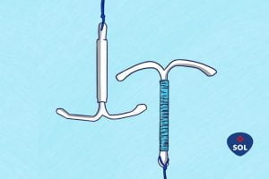 Dispositivo Intrauterino (DIU): vantagens e desvantagens