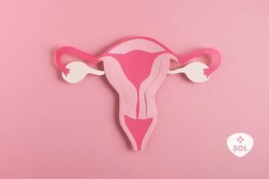 Progesterona: importância no preparo endometrial da FIV