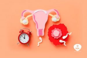 Crinone: Progesterona na Terapia de Reposição Hormonal